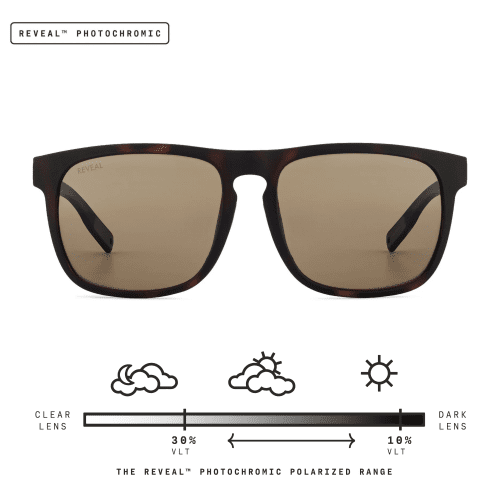 townie xl tortoise brown