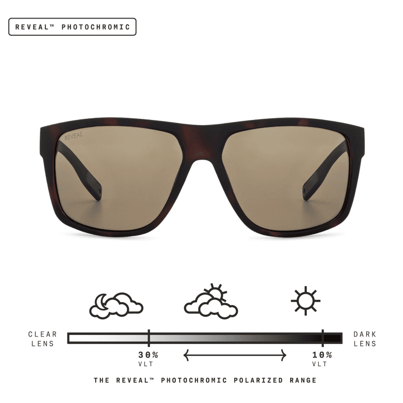 westslope tortoise brown